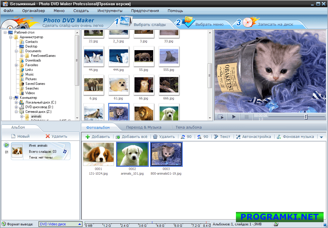 Скриншот программы Photo DVD Maker Professional 8.53