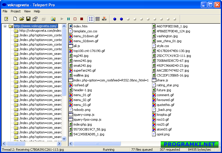 Скриншот программы Teleport Pro 1.72