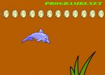 программа Dolphin Dash 