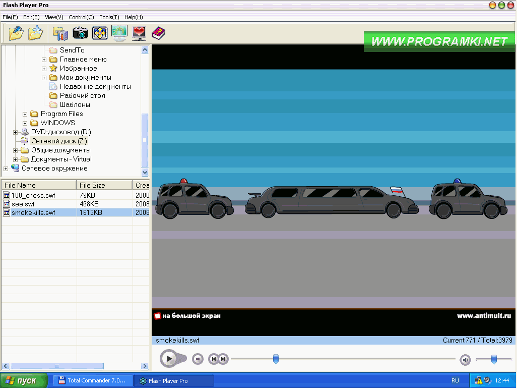 Скриншот программы Flash Player Pro 6.0.0.0