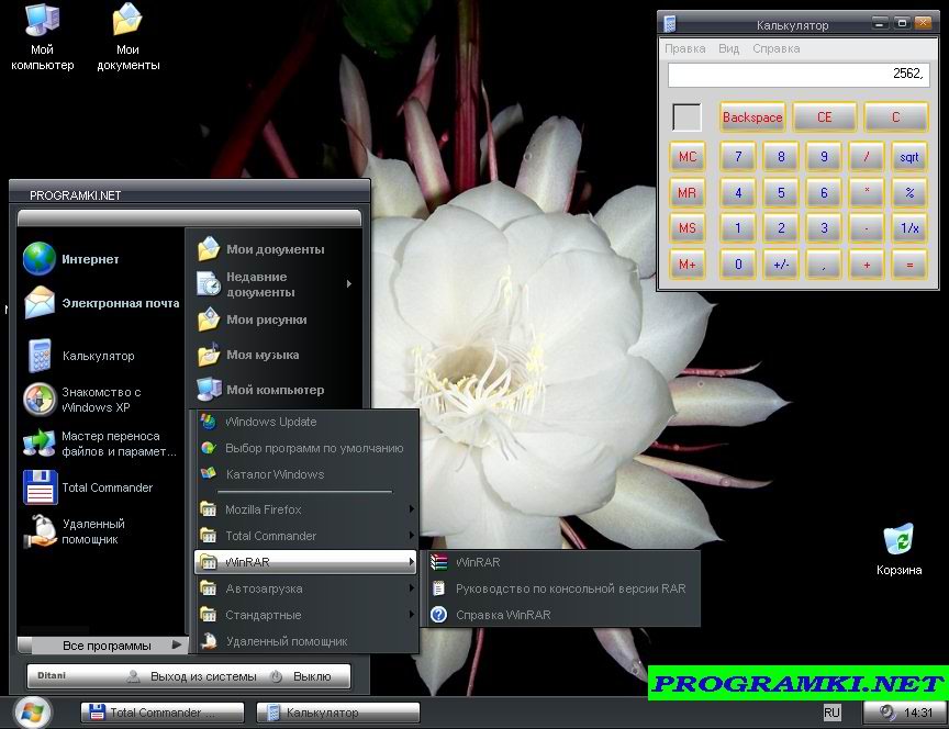Скриншот темы для Windows AMP 